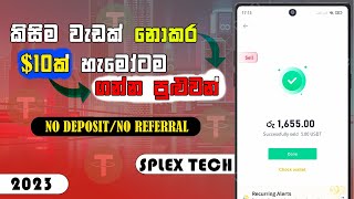 Online Business Sinhala | Online Salli Hoyana Krama | Earn Money Online Sinhala | SPLEX TECH