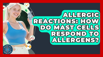 Allergic Reactions: How Do Mast Cells Respond To Allergens? - All About the Immune System