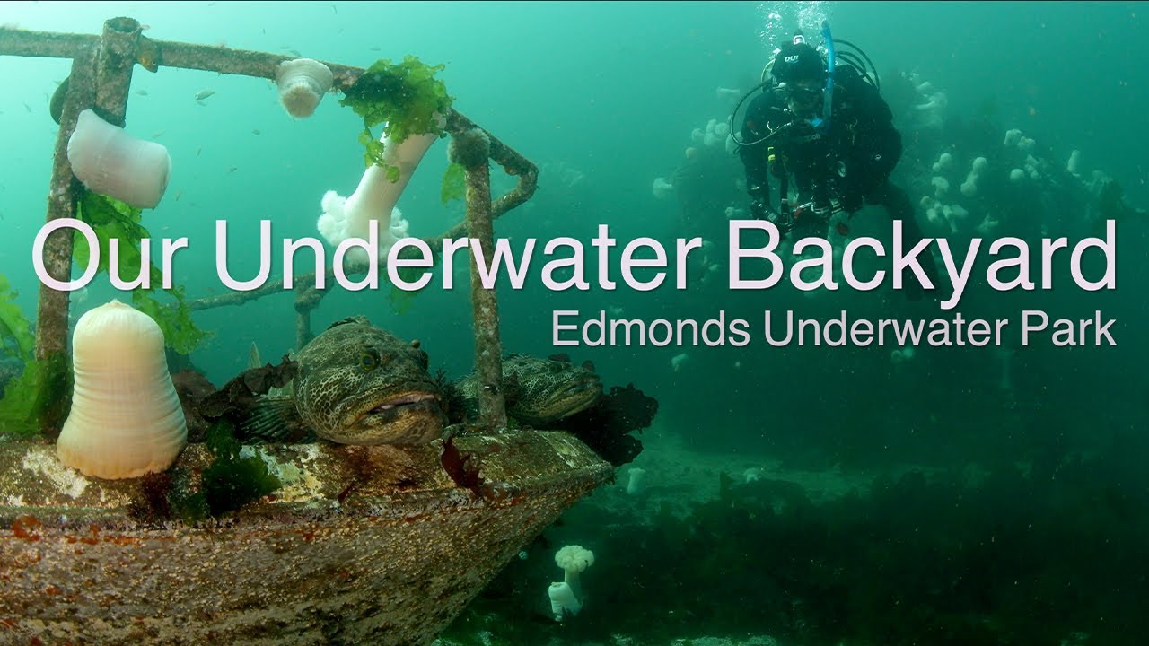 How One Man's Obsession Created the Edmonds Underwater Park