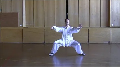 Richard Odell - Wudang Long Form