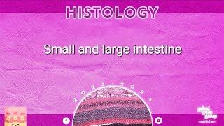 L3,Histological structure of small and large intestine ,Histology