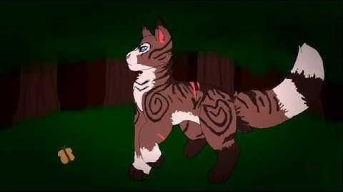 Hawkfrost MAP || Yesterday part 7