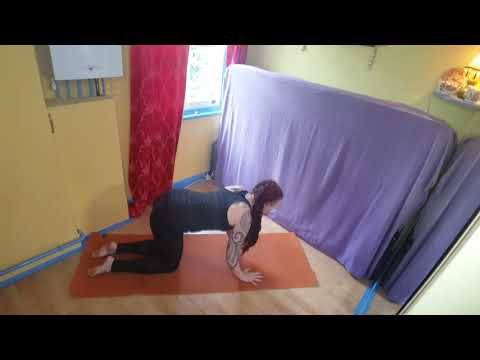 Quadruped Spine Undulation
