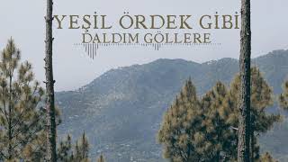 Yeşil Ördek Gibi Daldım Göllere | Bizim Türküler | Adem Pala | Yeni 2021