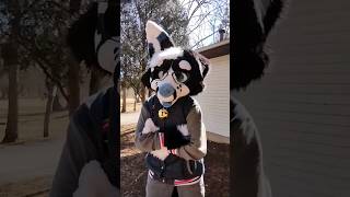 Can I Have A Free Fursuit??