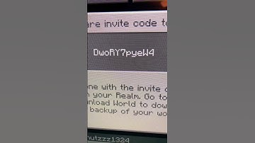 Minecraft Realm code Bedrock/Java