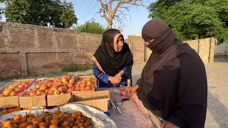 Brave Women selling fruits on road