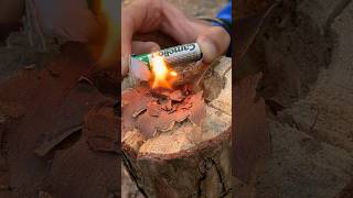 🔥Make Fire With Battery #Bushcraft #Outdoors #Survival #Camping #Campfire #Solocamping #Naturesounds