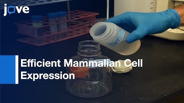 Single-Step Purification Of Extracellular Glycoproteins For Crystallization l Protocol Preview