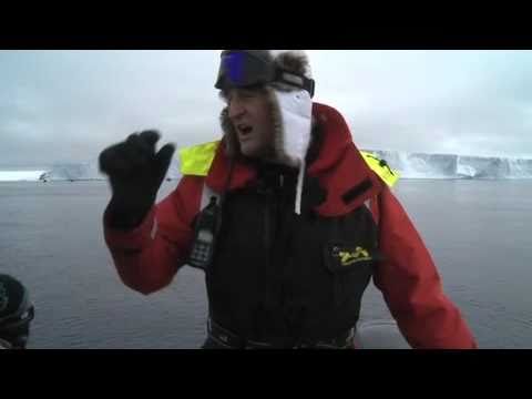 Hayley Warner gets caugh-up in an Orca hunt