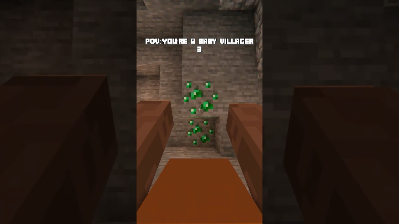 POV: You're a Minecraft Baby Villager 3 