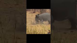 Download Lagu Wild gets wilder #animal #wildanimals #nature#Crazymoment #epicmoments#foryou#fyp#foryoupage#follow MP3 Download Lagu Wild gets wilder #animal #wildanimals #nature#Crazymoment #epicmoments#foryou#fyp#foryoupage#follow MP3