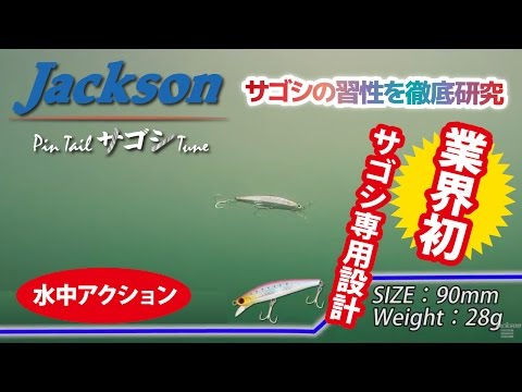 業界初サゴシ専用設計【ピンテールサゴシチューン】【ジャクソン】