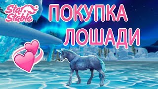 НОВОГОДНЯЯ ПОКУПКА ЛОШАДИ | Star Stable Online | Liza Star НОВОГОДНЯЯ ПОКУПКА ЛОШАДИ | Star Stable Online | Liza Star
