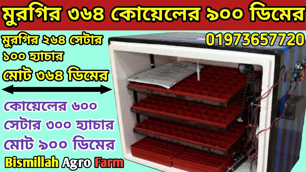 হাঁস-মুরগি কোয়েল পাখির ডিম একসাথেই ফুটবে ৩৬৪ ও ৯০০ ডিমের অটো ইনকিউবেটর| বিসমিল্লাহ এগ্রো ফার্ম 