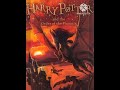 Harry potter novel bibliophile booklover potterhead harrypotter jkrowling booktube bookworm