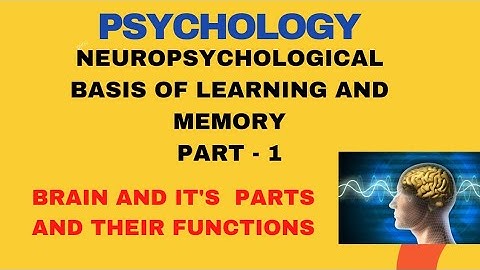 IGNOU MA PSYCHOLOGY COGNITIVE PSYCHOLOGY #BLOCK-1# UNIT -3# PART-1#