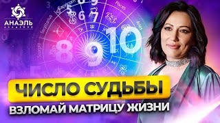 Число судьбы - твой код к успеху и счастью. Как узнать число судьбы и его значение?