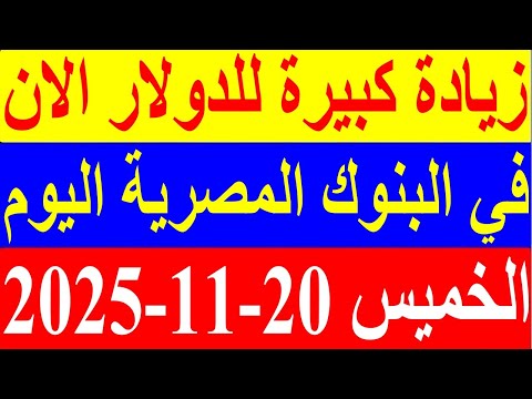 سعر الدولار اليوم الخميس 20 11 2025 في السوق السوداء والبنوك