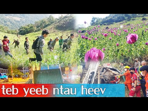 Video: Lub tsheb twg muaj teeb meem ntau tshaj?