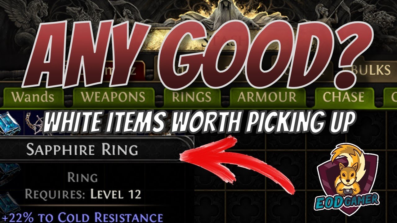 PICK THESE COMMONS : 20 White Items Worth More Than You Think in Path of Exile 2 (POE2 Trading)