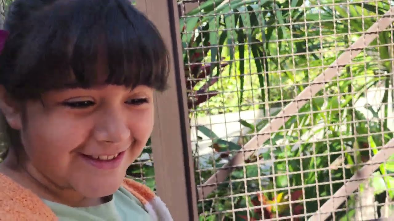 3 Days At Disneyland YouTube 3 Days At Disneyland YouTube