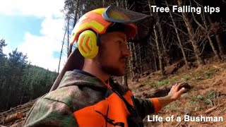 How to series tree falling tips