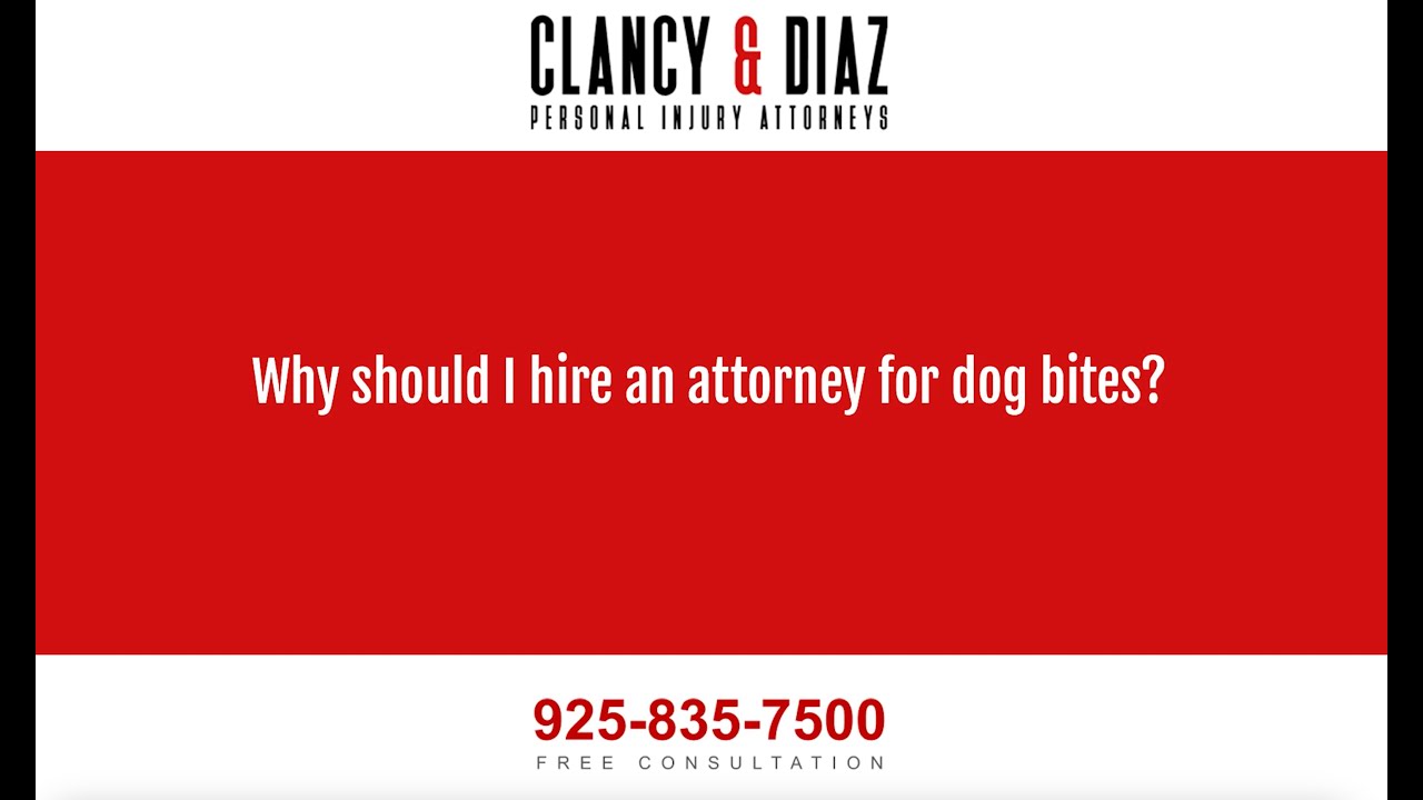 Why Should I Hire an Attorney for Dog Bites?