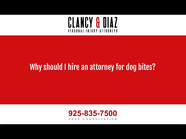 Why Should I Hire an Attorney for Dog Bites?