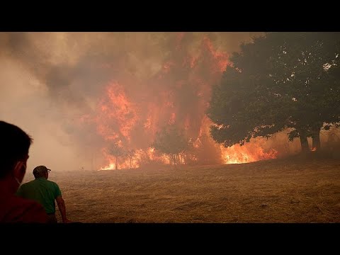 Пожары 2025: климатические аномалии и вызовы для Европы
