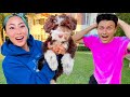 SURPRISING TEAM RAR With a PUPPY!!