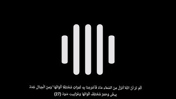 ما تيسر من سورة فاطر | محمد الهاشمي .