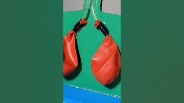 science project for class 7th students working model Easy science exhibition projects class