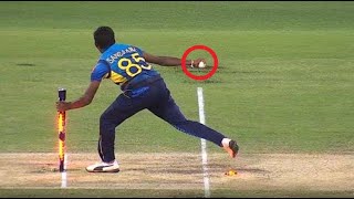 0 IQ Moments in Cricket