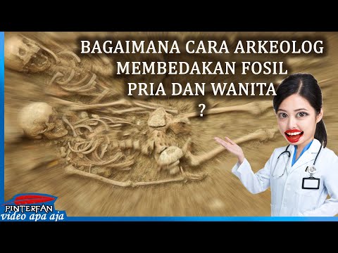 Cara Membedakan Kerangka Fosil Wanita dan Pria