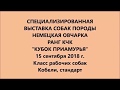 Рабочий класс, Кобели стандарт