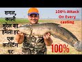 Snakehead Attack on Every Casting! काली मरेल का हमला हर मेंढक पर! Snakehead Fishing With Rubber Frog