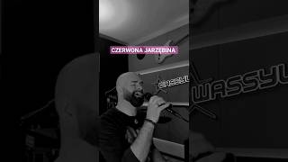 WASSYL - Czerwona Jarzębina (cover)