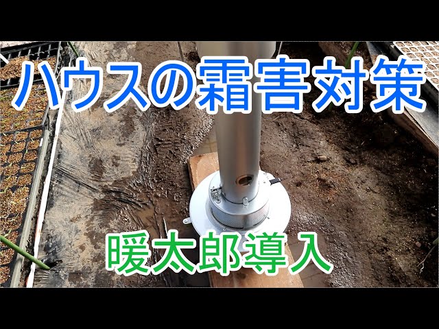 グリーンライフ(GREEN LIFE) ハウスヒーター 暖太郎 DTR-2 農業用