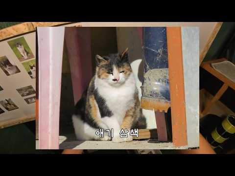 유튜브를 시작한지 10년, 그동안의 추억을 기록해 보았다