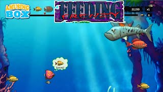 Feeding Frenzy | Time Attack | Eat Fish GamePlay | 1st Part