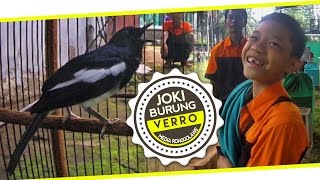 SUARA BURUNG : Kisah Mengharukan Joki Cilik Perawat Kacer Hantu Laut Di BINTANG JAGAD CUP