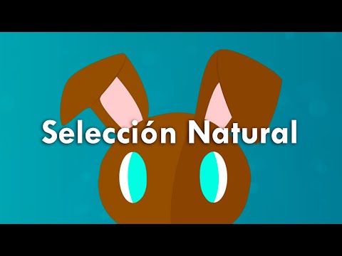 Video: Que Es La Seleccion Natural