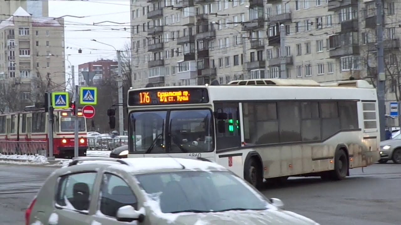 Золотой автобус спб. Автобус 486 СПБ. Питерский автобус 176. 176 Автобус. Автобус 176 Санкт-Петербург.