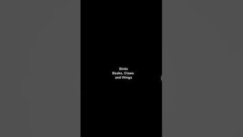 Class#4#Science#Chapter#5#part2