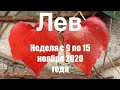 Лев. Таро-прогноз на неделю с 9 по 15 ноября 2020 года.