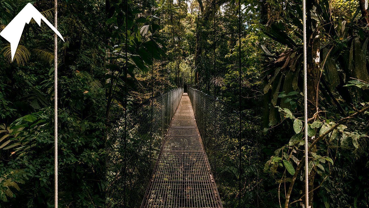 The VAST JUNGLE of Arenal Costa Rica (Hanging Bridges)