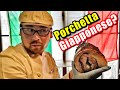 Porchetta GIAPPONESE? A Watari Italia e Giappone si incontrano! - Vivi Giappone