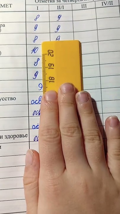Оценки за четверть #отметки #кринж#пжрек - YouTube