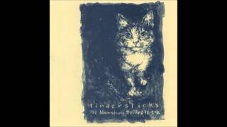 Tindersticks - Drunk Tank (w/ orchestra)